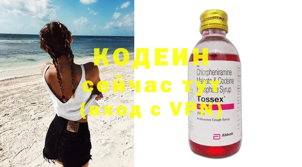 крисы Абаза