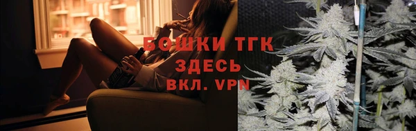 крисы Абаза