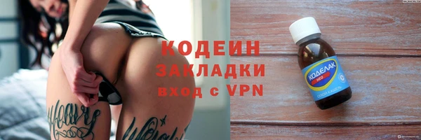 крисы Абаза