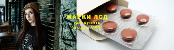крисы Абаза