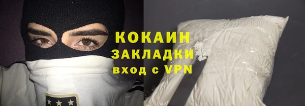 крисы Абаза
