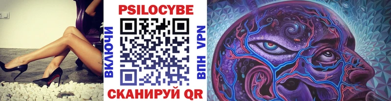 Галлюциногенные грибы Psilocybe  Братск 